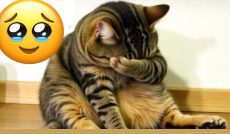 รูปแบบความกังวลเรื่องร่างกายของคุณ ใกล้กับแบบไหนที่สุด?