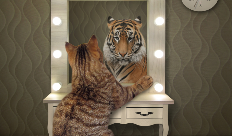 คนส่วนใหญ่มักกังวลเรื่องความสะอาดของส่วนใดในร่างกาย?